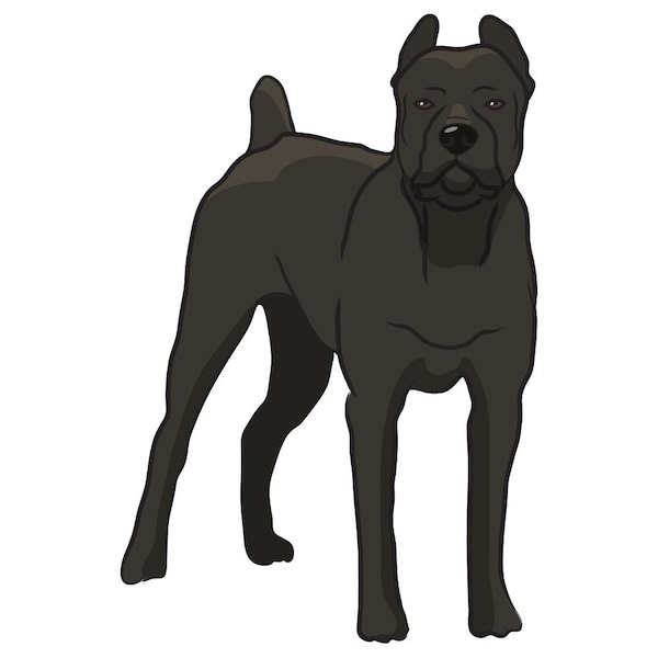 Cane Corso Dog Decal, Dog Lover Decor Vinyl Sticker